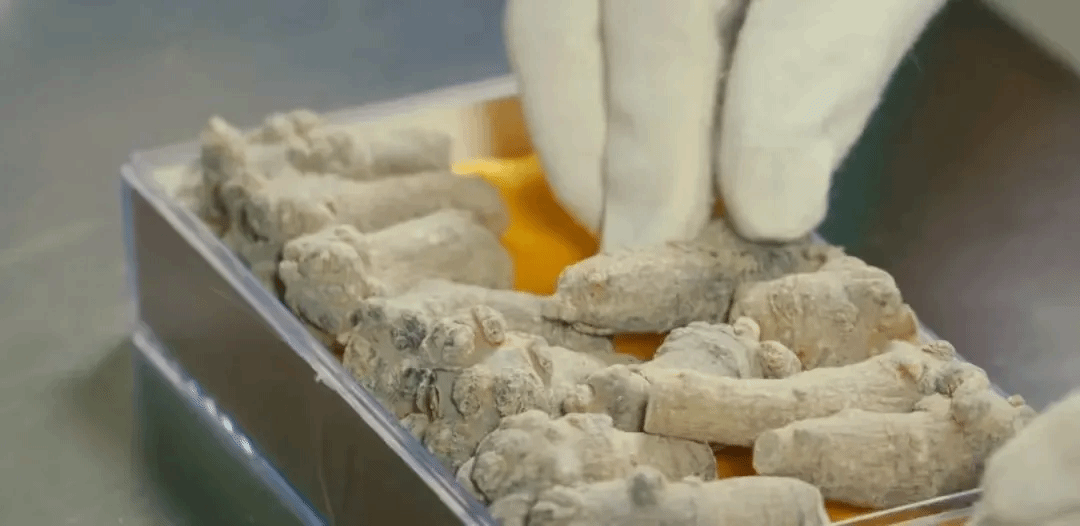 首页- 人生就是博中国官方网站