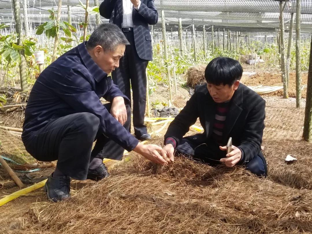 首页- 人生就是博中国官方网站